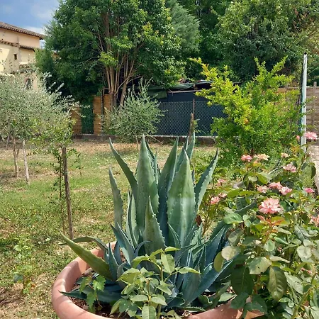 La Quiete, Nel A * Spoleto