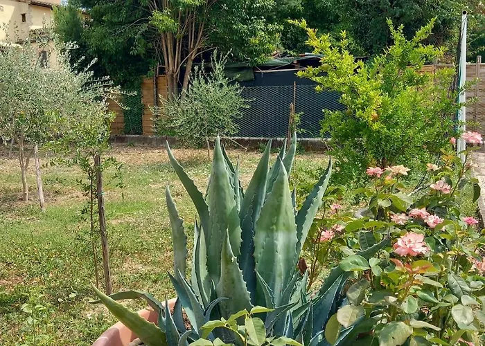 La Quiete, Nel A * Spoleto